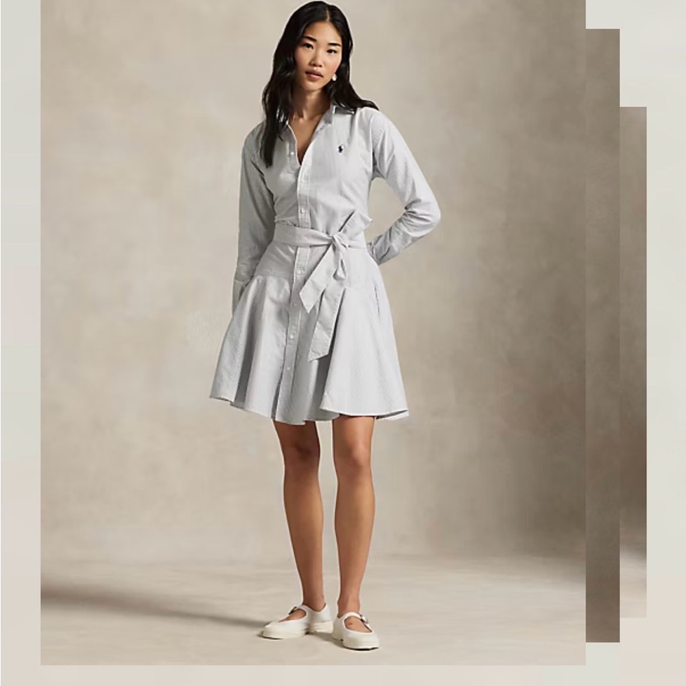 Ralph Lauren Striped Cotton Oxford Shirtdress. RARE. Retails $300